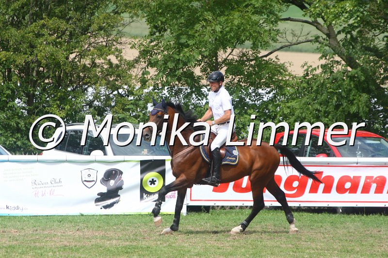 308M5281_Lacox_Springpferde Mx.JPG